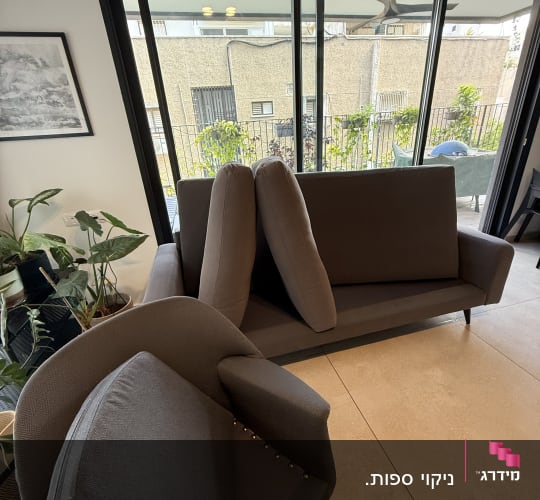 ספות וכורסאות בסלון עם צמחים ברקע